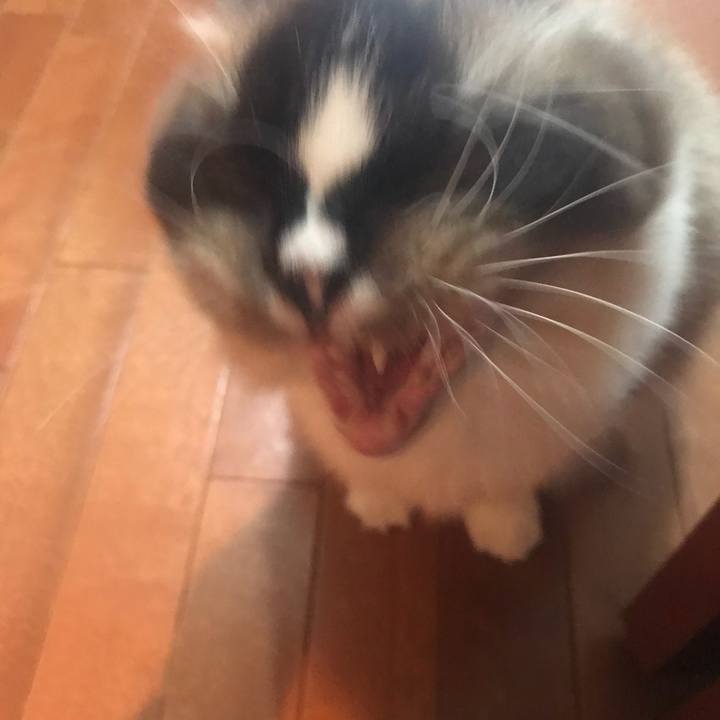 96a99b9b 0fc3 4c12 a0fc 682e8f165814 1535110078381