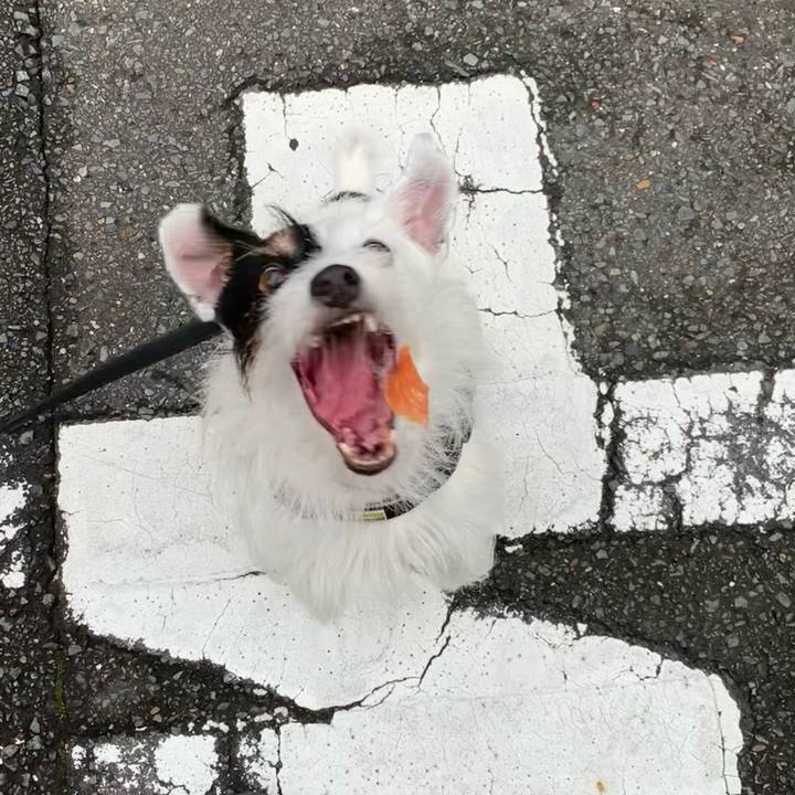 96a99d46 8c26 4360 bf56 aab7da8cd08a 1662103923143