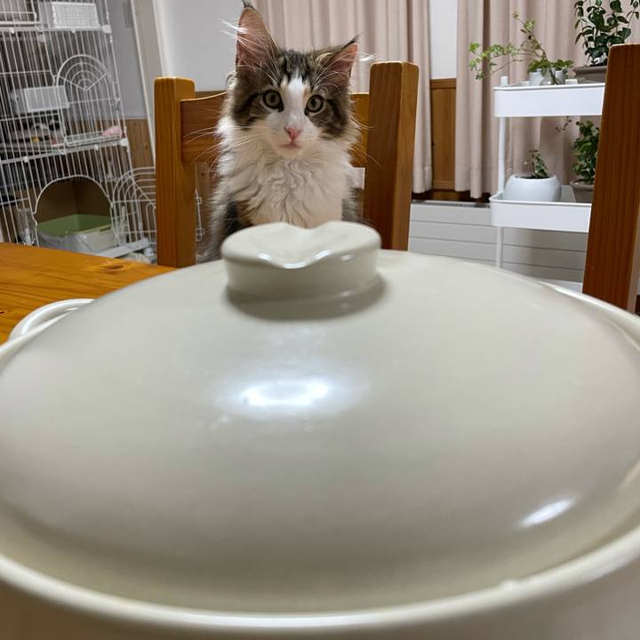 96a9a48d a8eb 4732 a7a6 806906cb7ba8 1633601001010