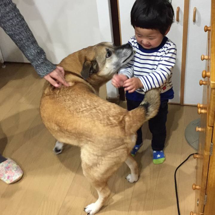 96a9ca93 7a44 4e52 be61 5e0694c9f34d 1517654308973