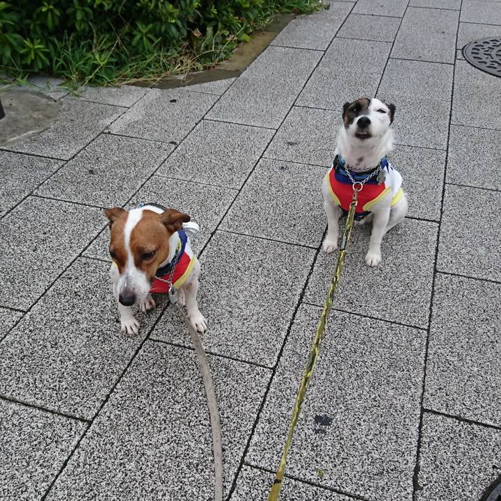 96a9fd70 1961 411b 9f9c 2ceed6cf4d23 1565903594928