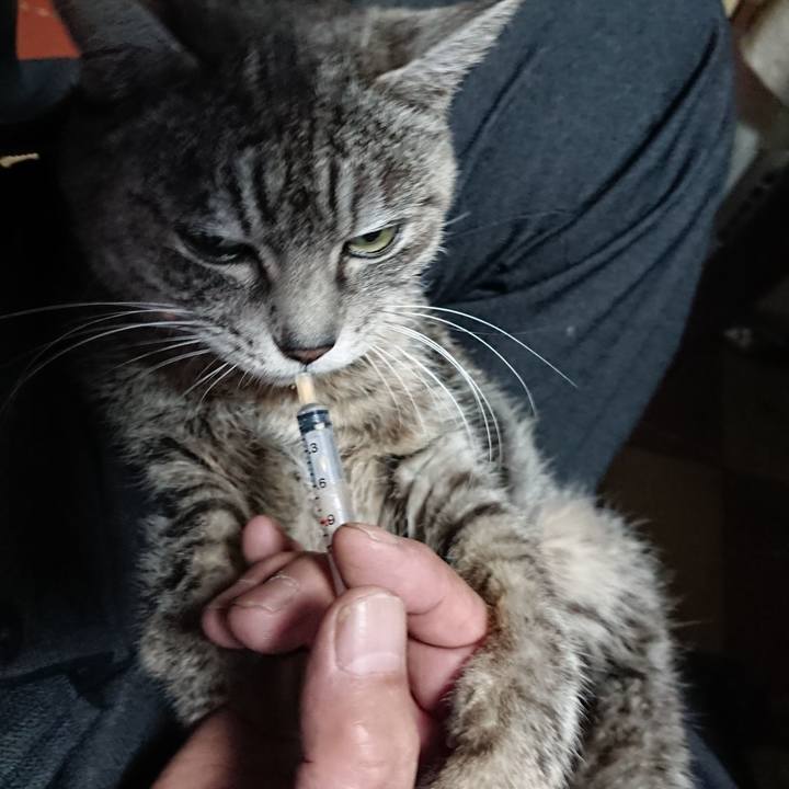 96aa1142 2e44 444c a045 8e53f75582c8 1581025940494