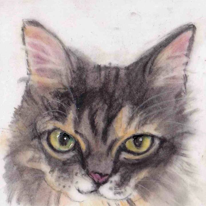 96aa1ac9 cb83 415f aacb 1a69900412ff 1657899030093