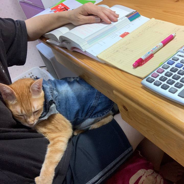 96aaa516 00ee 4210 b3a7 3a171c216c52 1650752367746