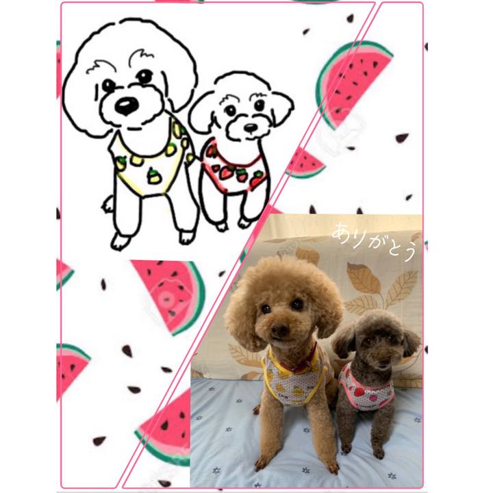 96aaaa53 f6a4 4ee3 8b78 d88df7f6d407 1597386616961