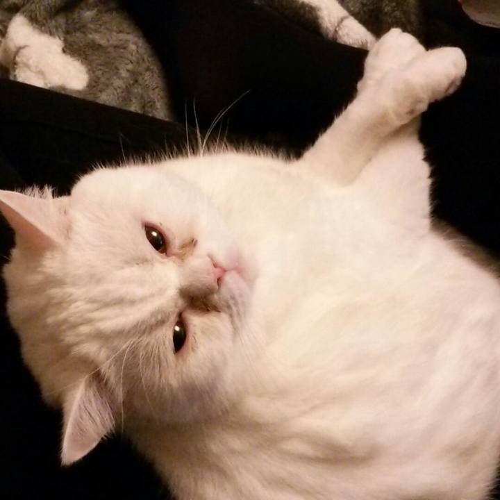 96aad408 d569 476f b28b 12abd7be78c5 1521558378728