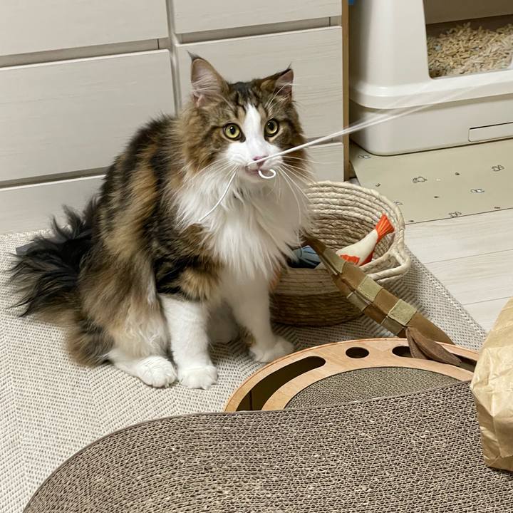 96aaea8b 605d 49d1 9587 39d8da7a89b2 1657799485141