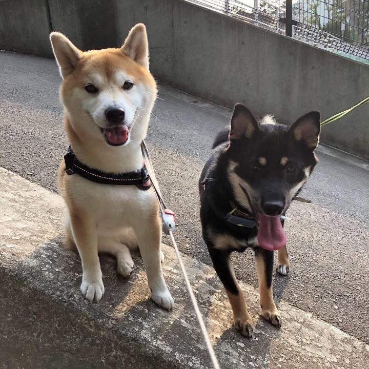 96ab0642 901c 4e70 be69 aac18396f5cf 1562752237334