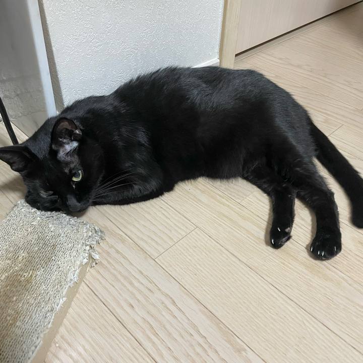 96ab670b 23d8 47dd 808f 6df011c8a612 1760256134215