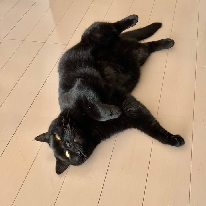 96ab6f07 ed84 409c a8cc a6df16f59f85 1684039123497