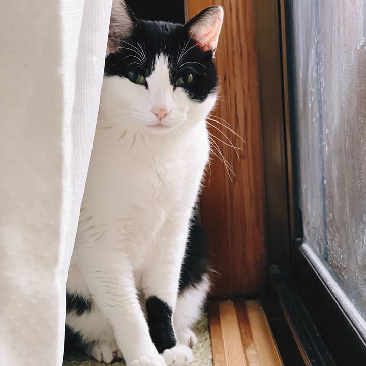 96ab8170 eff2 40dd a7c7 7ca00d83e665 1556156165883