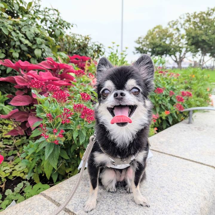 96aba048 9699 4e59 a9eb 32e1b631eda0 1757973213331