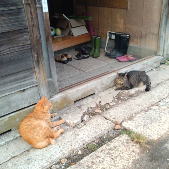 96aba79a 4ea1 4b84 ba3c 53a5eae2e8a8 1694943096186