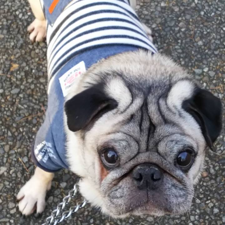 96abac85 8362 451b 81e7 d98a07dca692 1572015118905