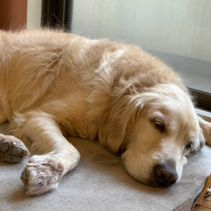 96abd0e7 f686 44ba a4e6 2c6fa64ac7e1 1550448284278