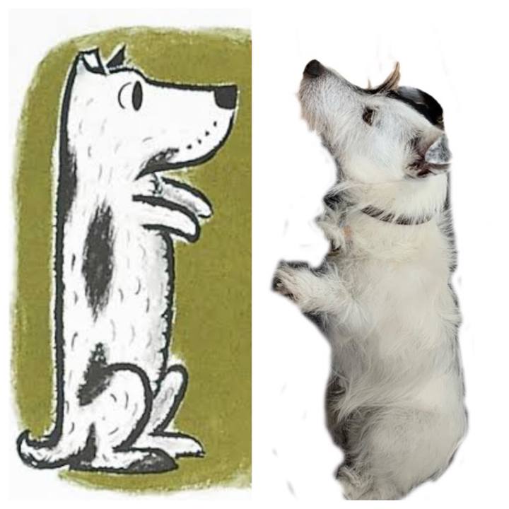 96abd0ff 33f7 4301 8013 76e2c8c98808 1658723043654