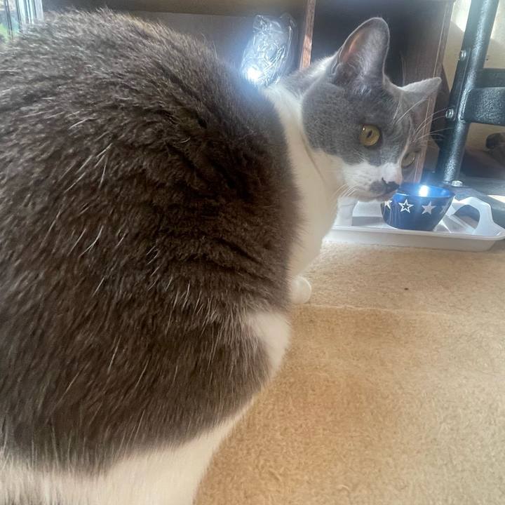 96ac18a6 1399 4f0b 8032 66a2e2e3dce4 1667432004434