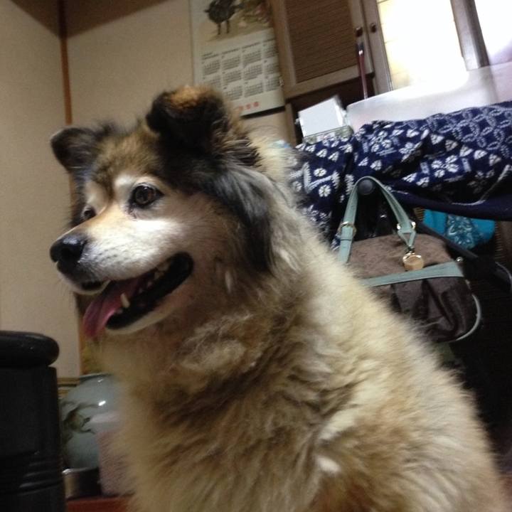 96ac8fca 5d5a 4e64 ad8f 41af9014364e 1611205740314