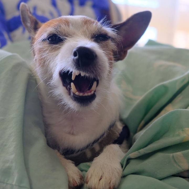 96acbf88 024b 406f 967d df905139cf3c 1636500507988