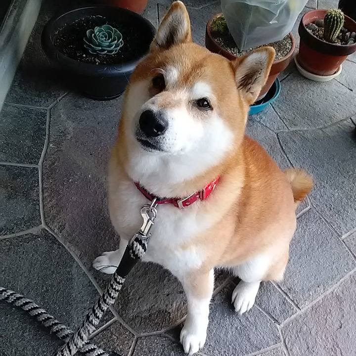 96ad5061 7685 4105 a592 72c210309b93 1674214254850