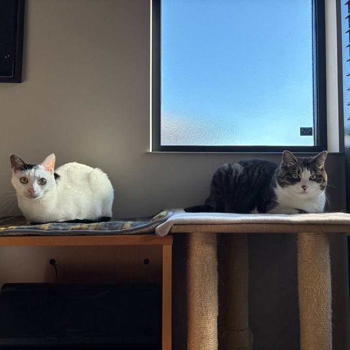 96ad55db 25aa 4366 80a0 2a3852a8ba70 1766970065967