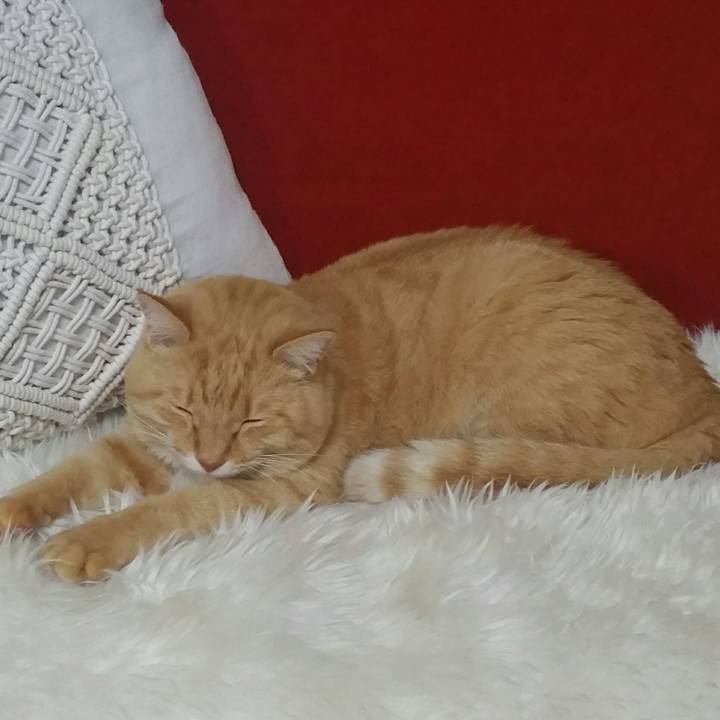 96ad5a40 ce1e 4a73 9707 32ed43eb337d 1545664745159