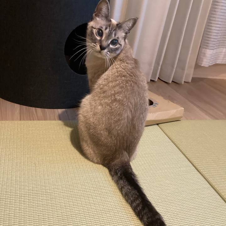 96ad94ce c1cb 46fd 87e4 bde40f37d03a 1612579957853