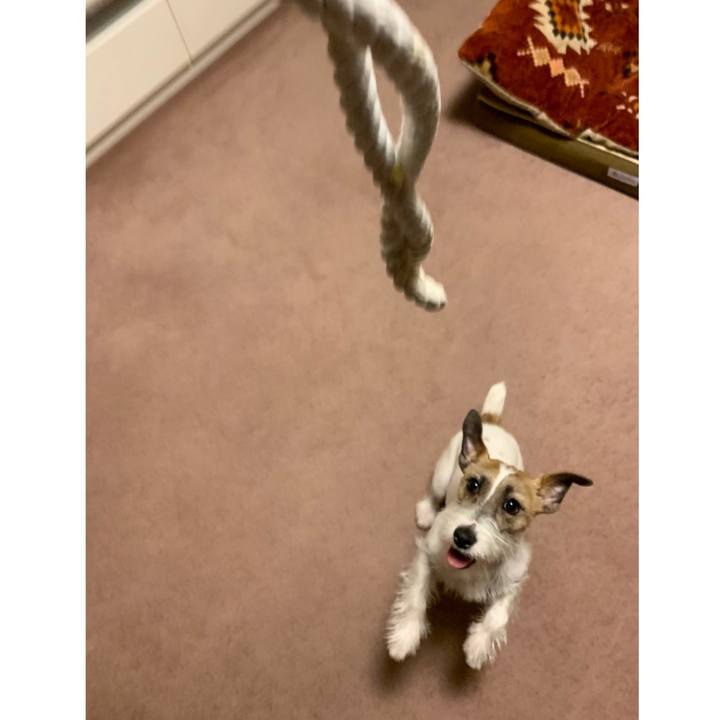 96addd02 ef4e 4249 b25c 365d4a71bd0a 1581861674520