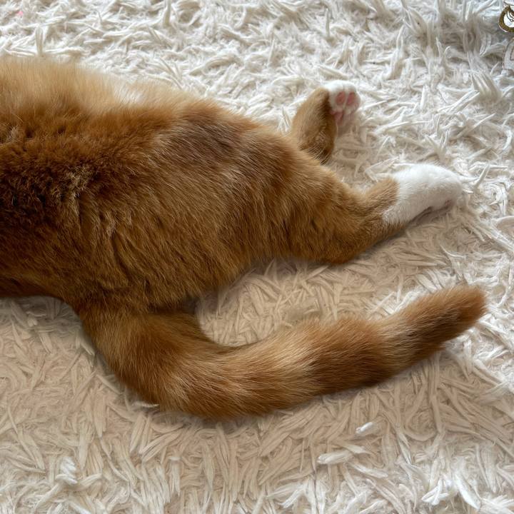 96adeec3 ebbf 40b6 a314 c637ca971f49 1626584511749