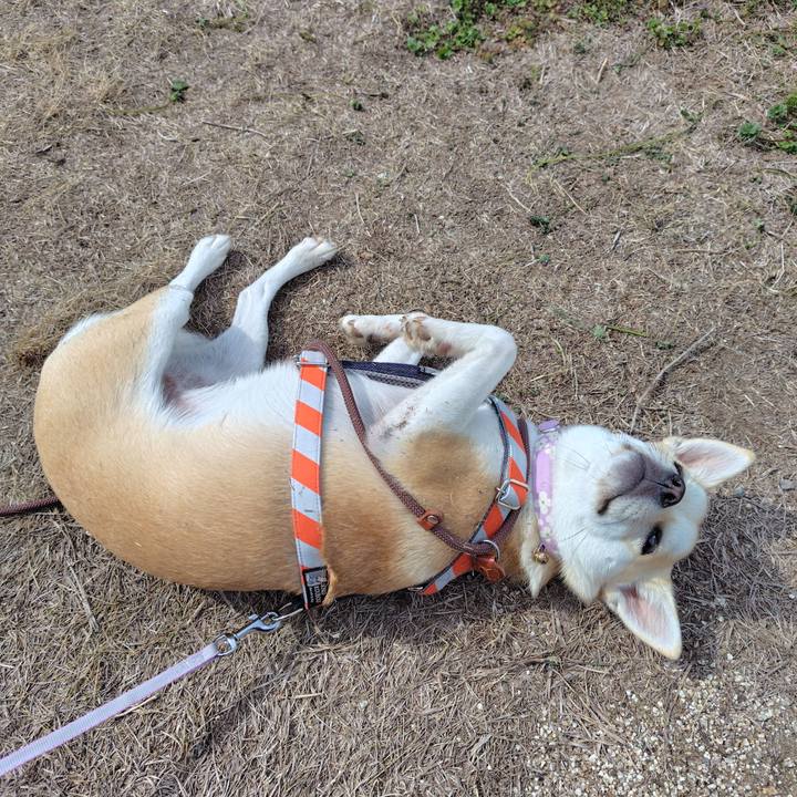 96adfe92 1493 4bfc b75b b50a696bf3bb 1773026443738