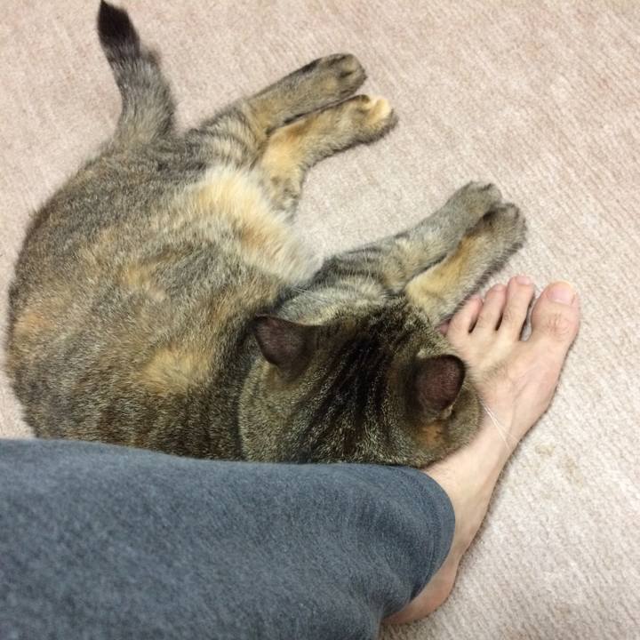 96ae5a6d 02f6 4b92 8a45 943bee3f549d 1571866745795