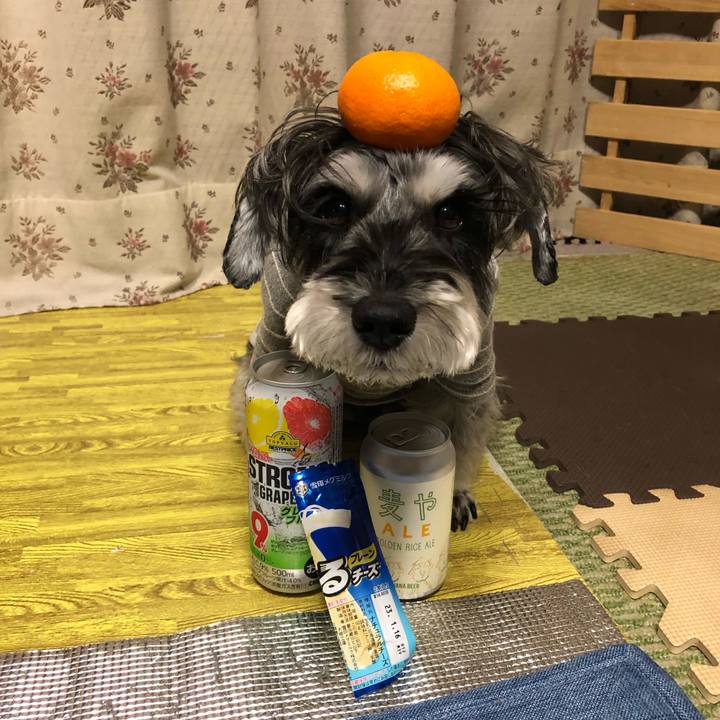 96ae9199 5273 476c 9922 345d04162d44 1667383322539