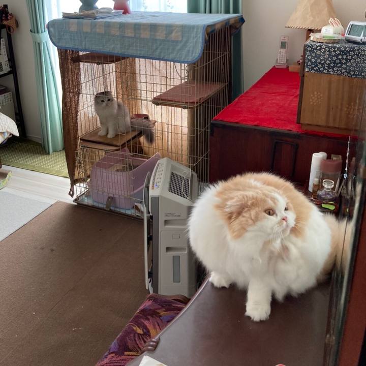 96aeb2c1 f336 4e93 b73f 4b9b1c3578c5 1601002372727