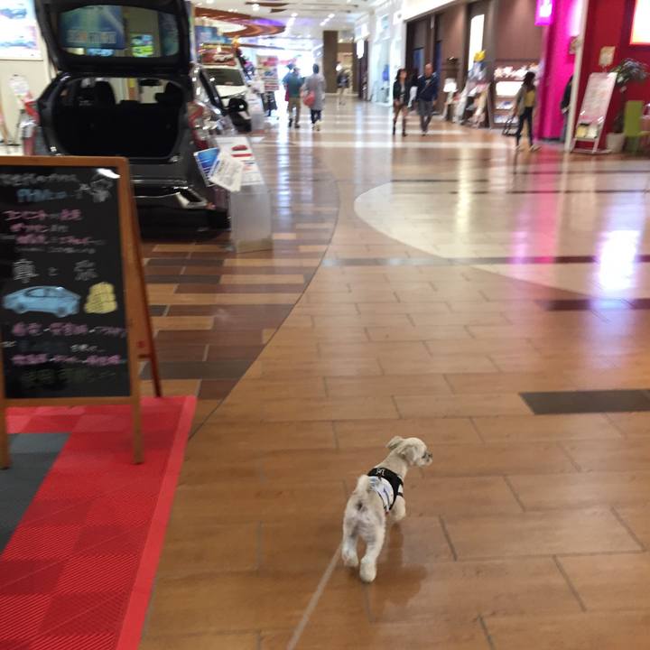 96aec0f9 faf2 44f9 b21f 27d40d8729d4 1540796374367