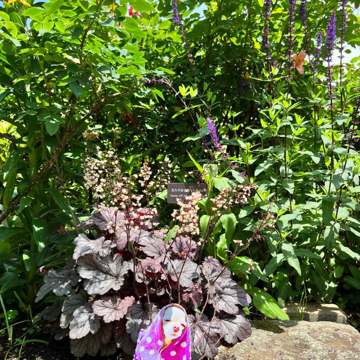 96aef786 2f80 4ffc 82b1 5141cf882652 1653283640566