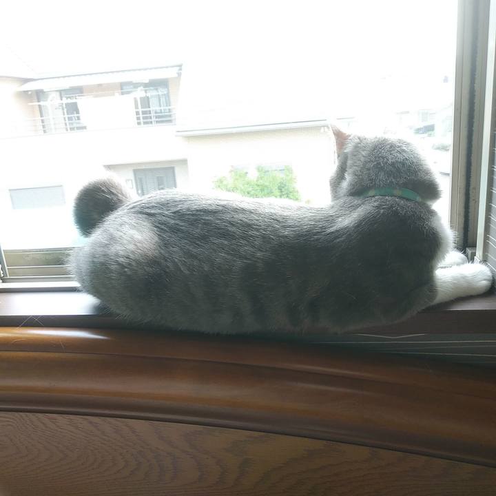 96af0a49 5b7e 473a ab48 563d664c230f 1591310261597