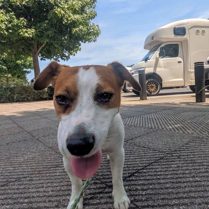 96af592b 87b6 44ee b7aa c2c5ea613637 1753705945343