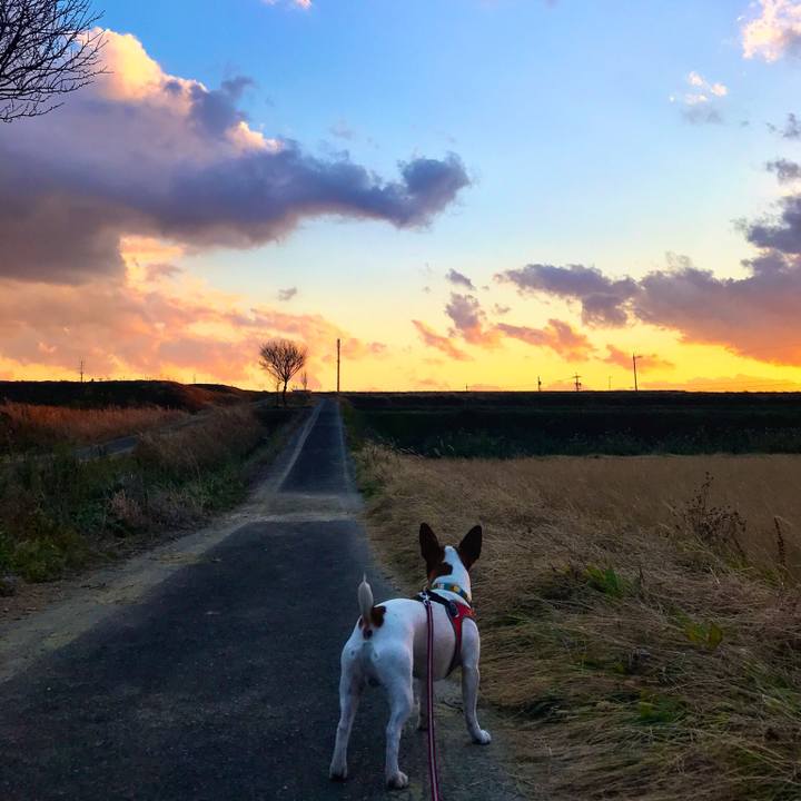 96af5fb8 5f95 43cb 85c2 419213085f25 1512986703068