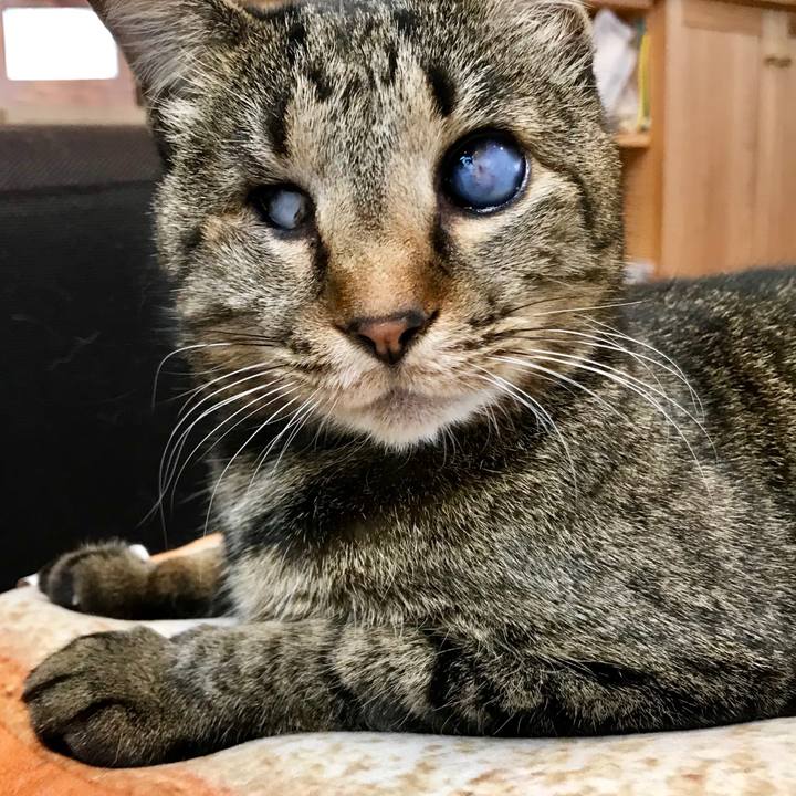 96af6b13 037e 4d52 b6bd ee7c45f1fa75 1553306036055