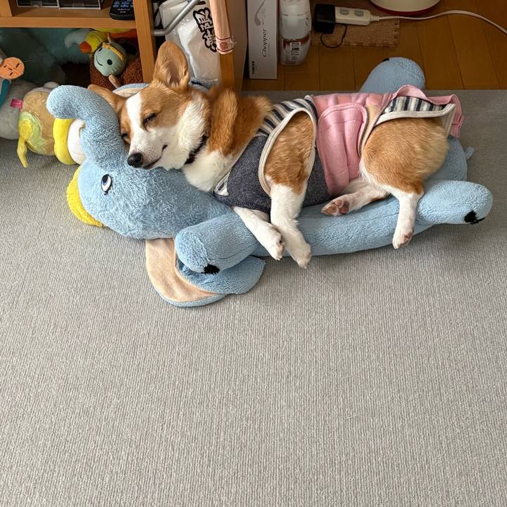 96af9f60 720d 4bb2 95bb 7fe937adc1a4 1770777197285