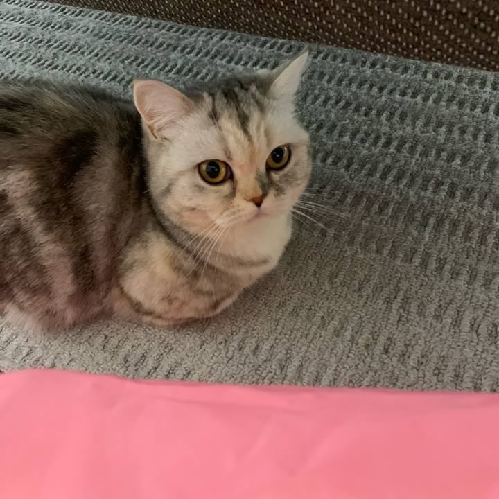 96afa1fb 7309 4b38 b9b4 c46f35bfb767 1708431795392