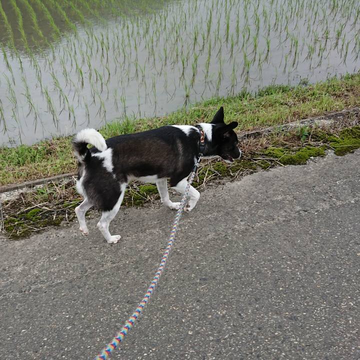 96afe269 b951 42cc bae1 60ba8c3c1af6 1528707100912