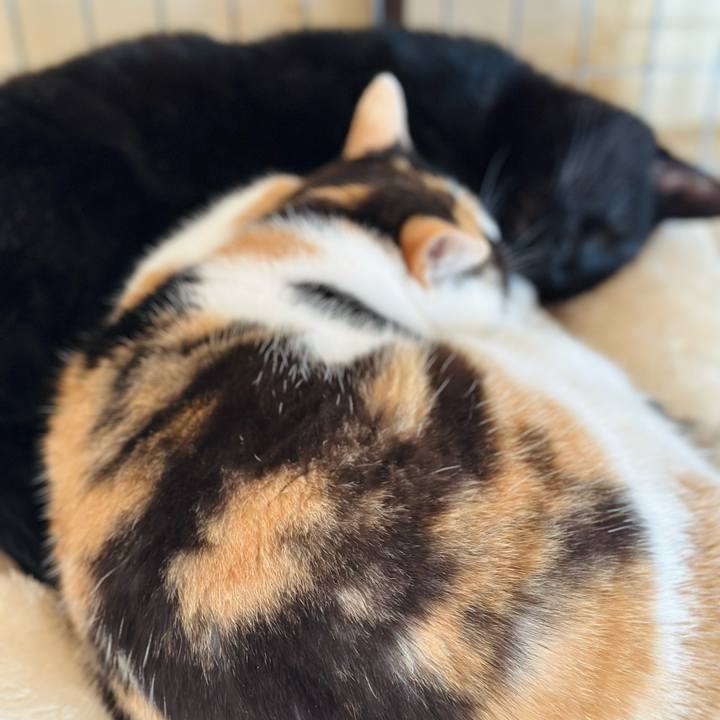 96afe650 a9c2 4008 a28e 914b342340f0 1675565920922