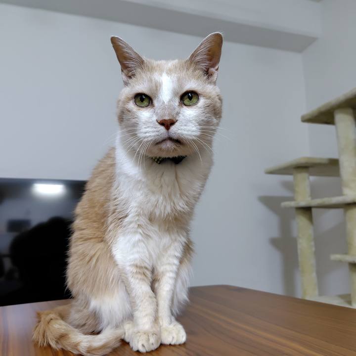 96afede7 0b2f 4736 9c05 a9ff4459beb0 1739443192003