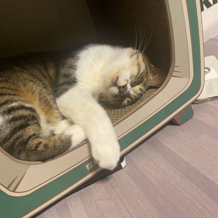 96b049e6 6345 484f a3ee ac95ebbb9fe8 1631793560053