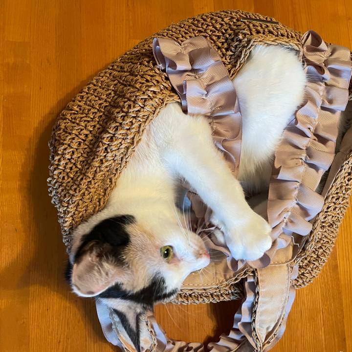 96b04e4a 8ea8 46ef a623 ce28eb1a38f4 1690783503365