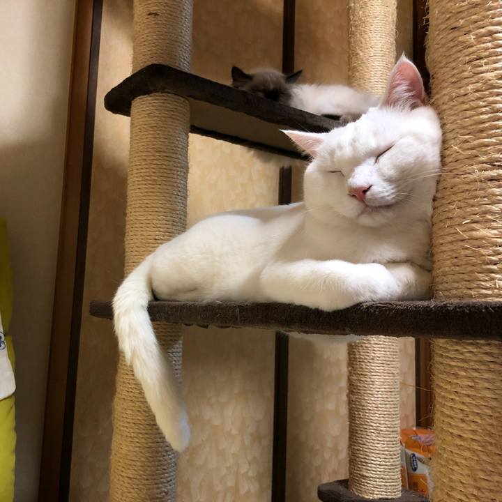 96b07b65 62e1 4df9 849c 2ed018a98217 1632660457463