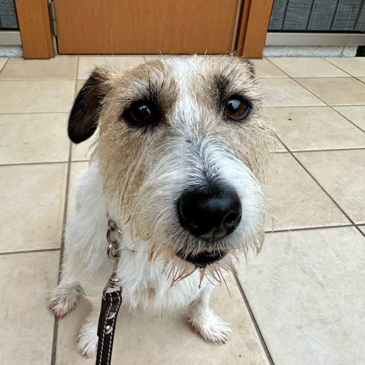 96b082b7 79ab 4e4a 8676 4f3bb6764602 1745592936690