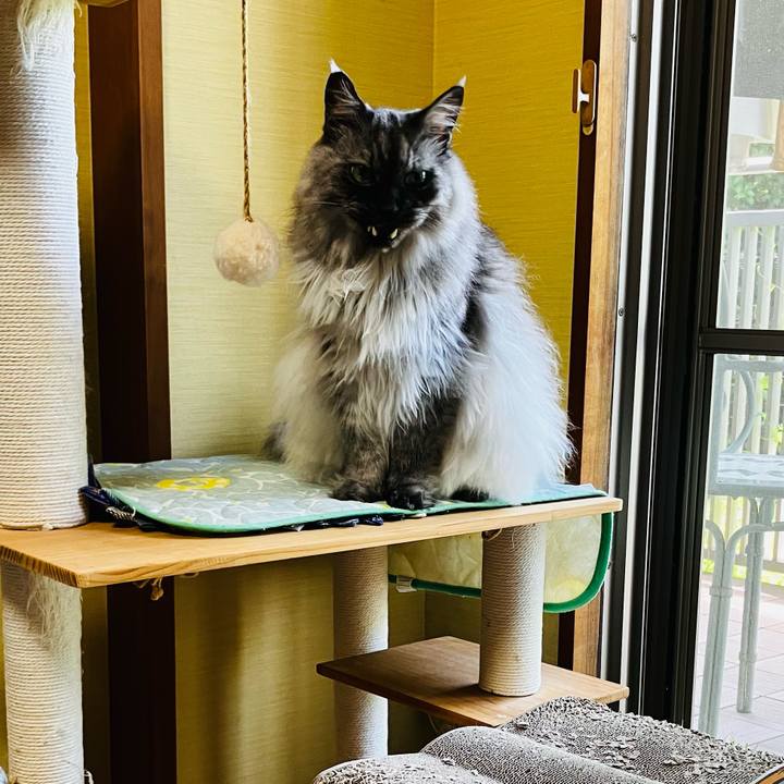 96b0af17 e673 4425 87d0 6acc4c144867 1748740635664