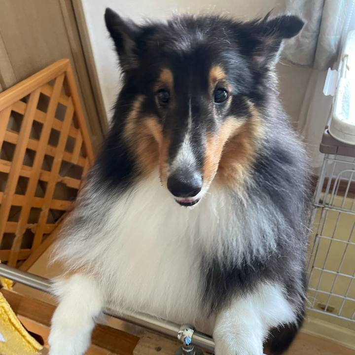 96b0d508 e926 45d4 a989 36325262ebf2 1624676558131